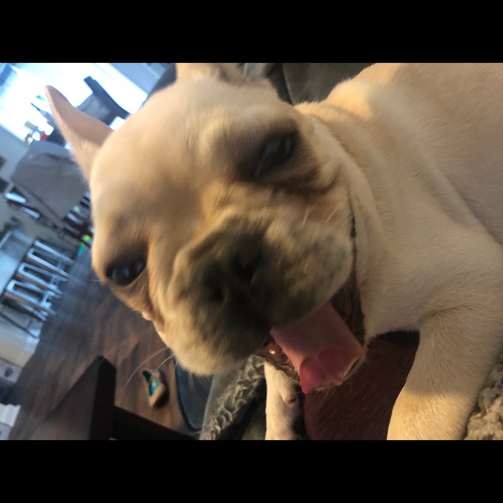 Meet your Posher, Erin